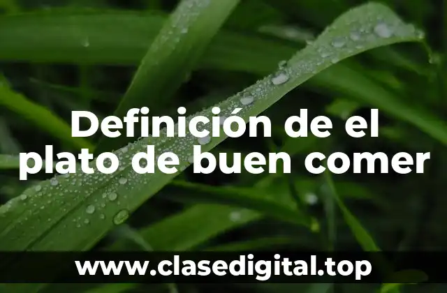 Definición de el plato de buen comer