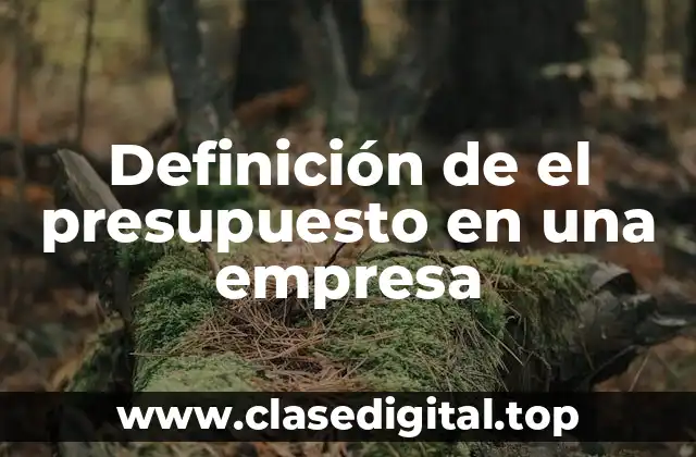 Definición de el presupuesto en una empresa