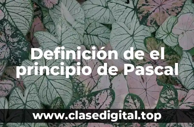 Definición de el principio de Pascal