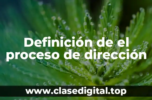 Definición de el proceso de dirección