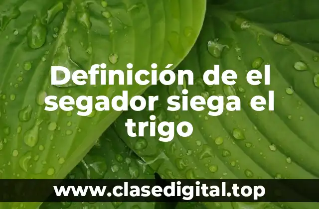 Definición de el segador siega el trigo