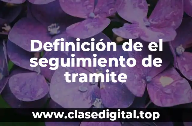 Definición de el seguimiento de tramite