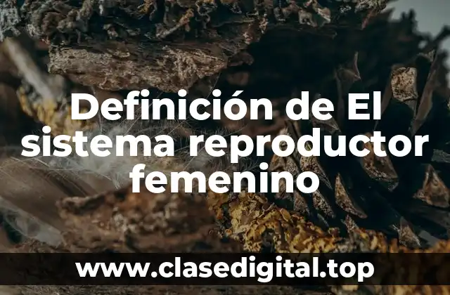Definición de El sistema reproductor femenino