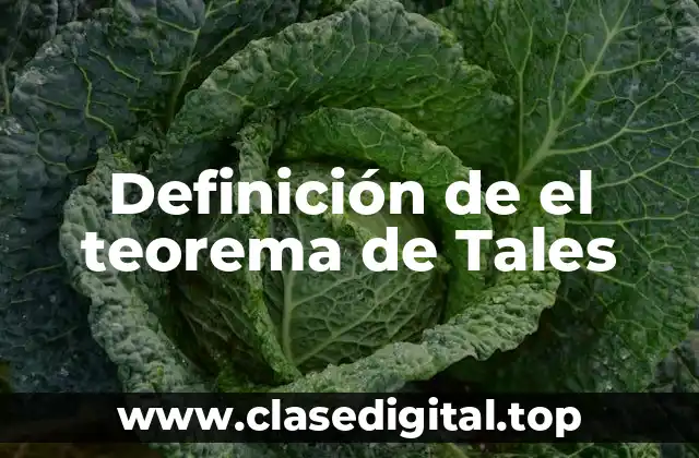 Definición de el teorema de Tales