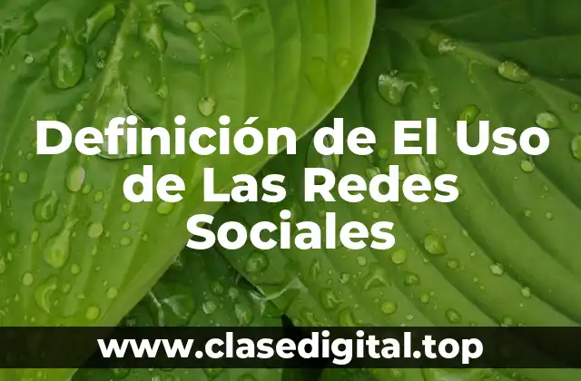 Definición de El Uso de Las Redes Sociales