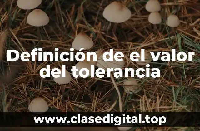 Definición de el valor del tolerancia