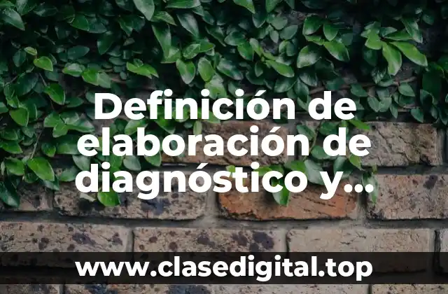 Ejemplos de elaboración de diagnóstico y evaluación de desempeño