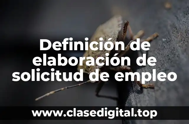 Definición de elaboración de solicitud de empleo