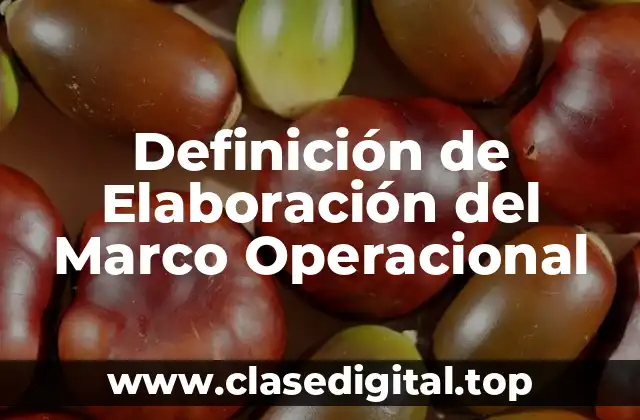 Definición de Elaboración del Marco Operacional