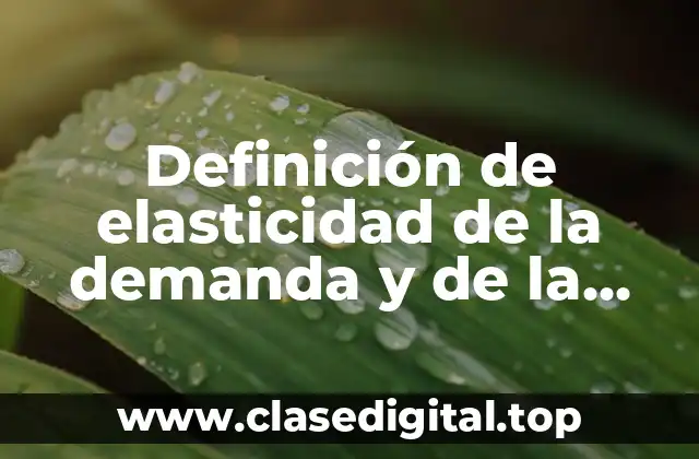 Definición de elasticidad de la demanda y de la oferta