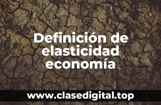 Definición de elasticidad economía