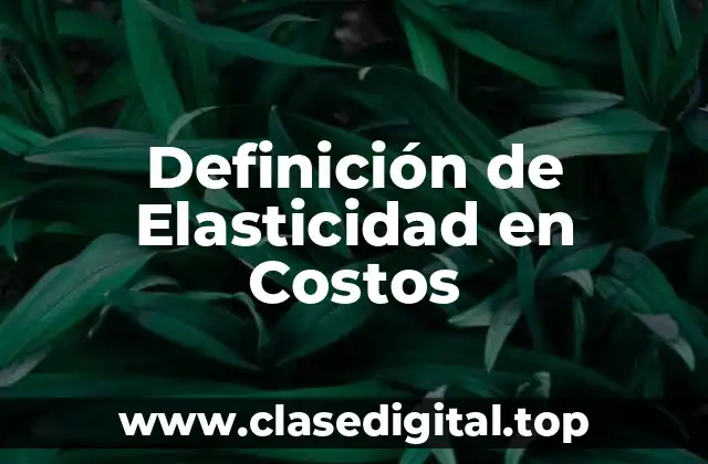 Definición de Elasticidad en Costos
