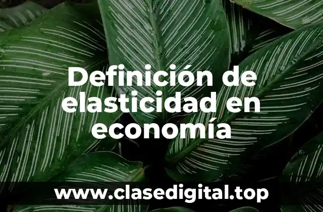 Definición de elasticidad en economía