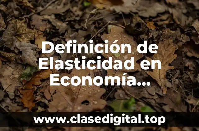 Definición de Elasticidad en Economía Cuadernillos
