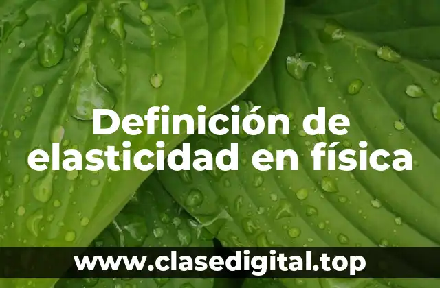 Definición de Elasticidad en Física