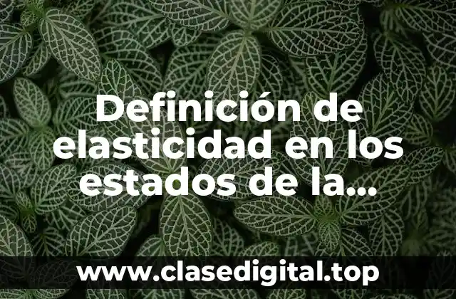 Definición de elasticidad en los estados de la materia