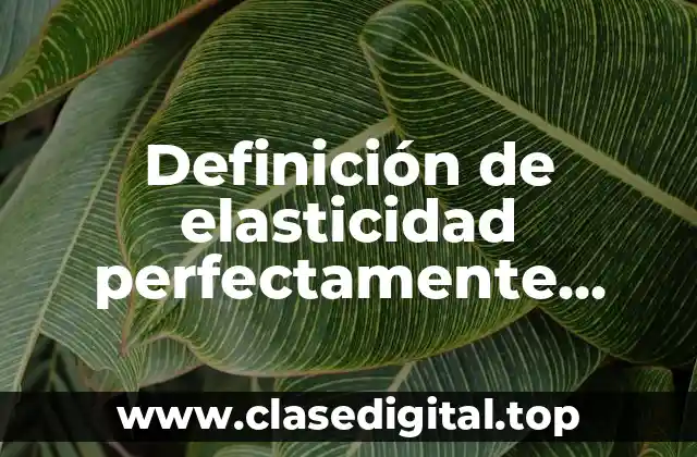 Definición de elasticidad perfectamente elástica