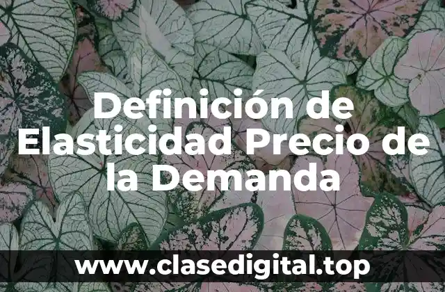 Definición de Elasticidad Precio de la Demanda