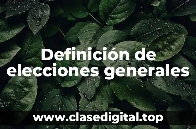 Definición de elecciones generales