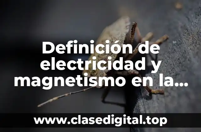 Definición de electricidad y magnetismo en la vida cotidiana