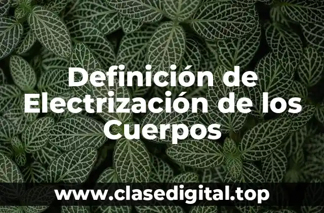 Definición de Electrización de los Cuerpos