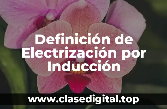 Ejemplos de Electrización por Inducción