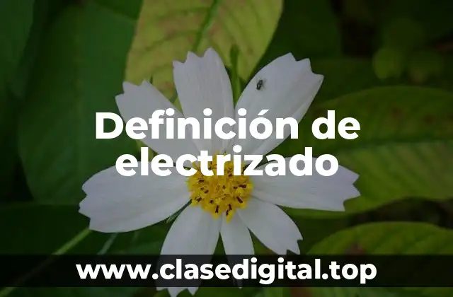 Definición de electrizado