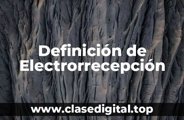 Definición de Electrorrecepción