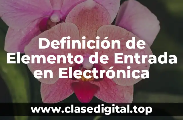 Definición de Elemento de Entrada en Electrónica