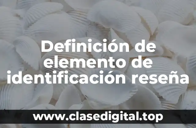Definición de elemento de identificación reseña