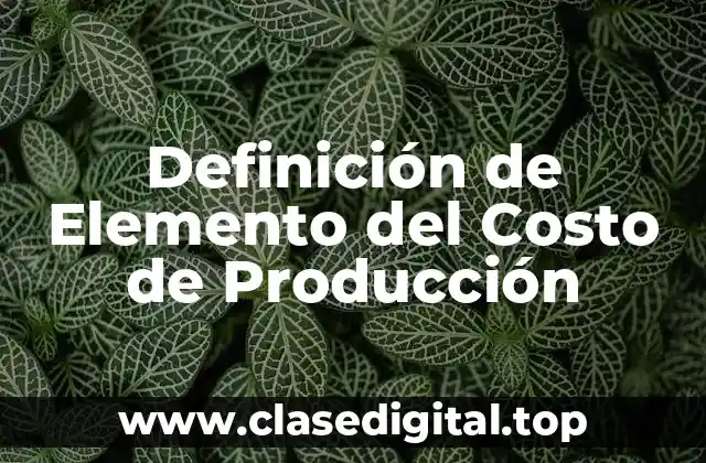 Definición de Elemento del Costo de Producción