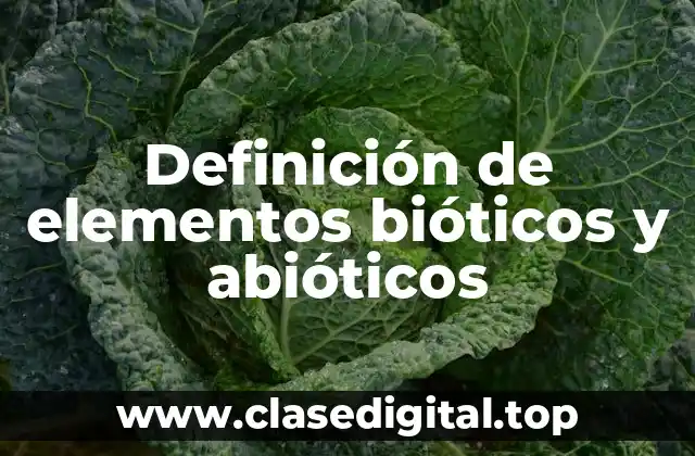 Definición de elementos bióticos y abióticos