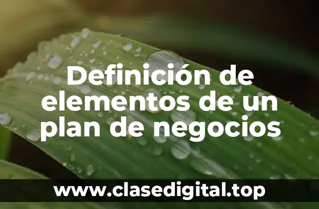 Definición de elementos de un plan de negocios