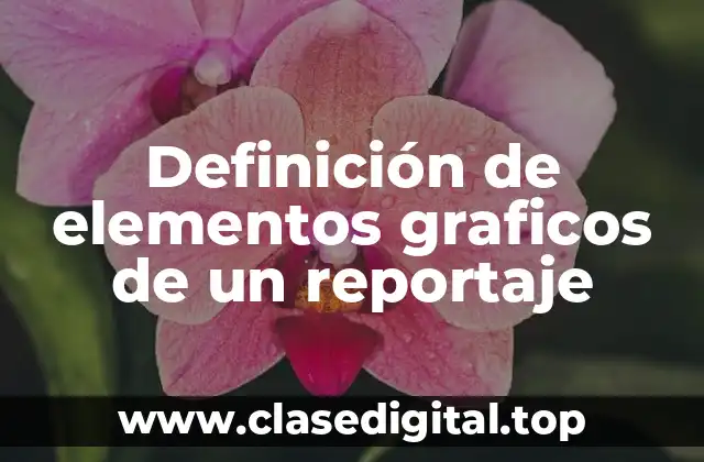 Definición de elementos graficos de un reportaje