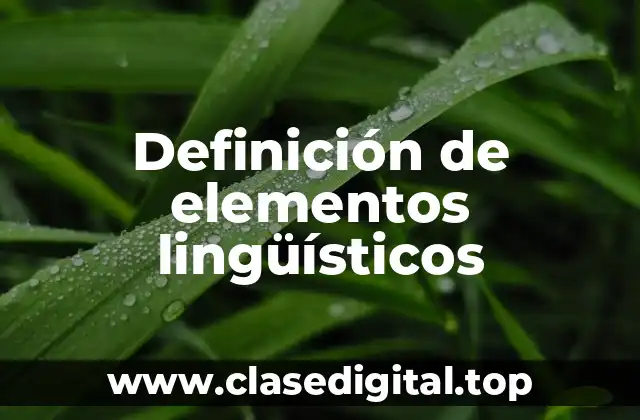 Definición de elementos lingüísticos