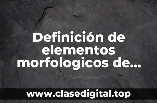Definición de elementos morfologicos de Sabritas