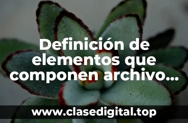 Definición de elementos que componen archivo digital