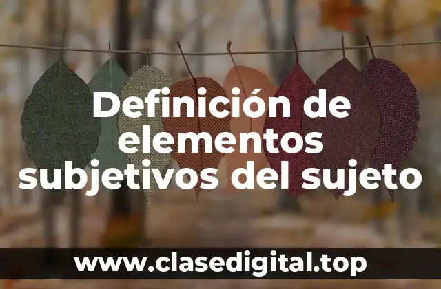 Definición de elementos subjetivos del sujeto