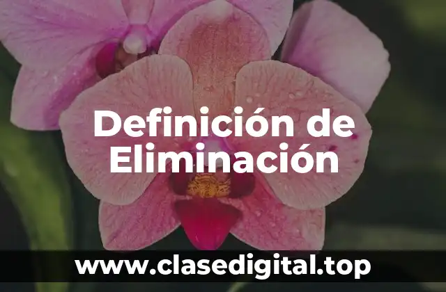 📗 Definición Técnica de Eliminación