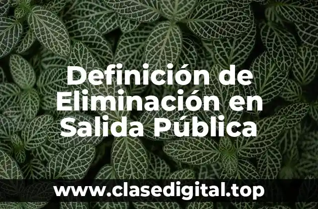 Definición de Eliminación en Salida Pública