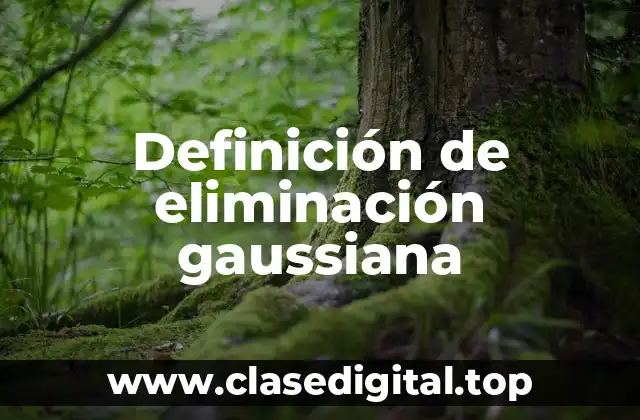 Definición de eliminación gaussiana