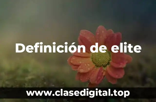 Definición de elite