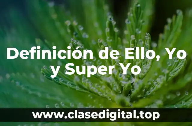 Definición de Ello, Yo y Super Yo