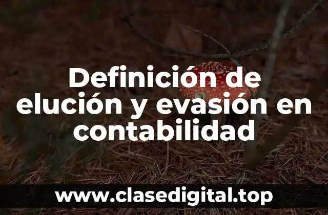 📗 Definición técnica de elución y evasión en contabilidad