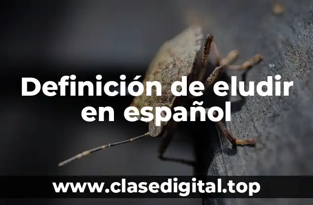 Definición de eludir en español