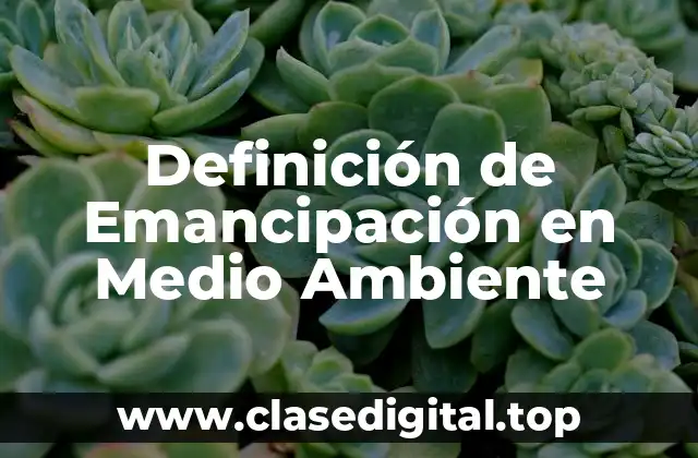 Definición de Emancipación en Medio Ambiente