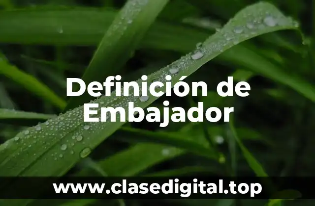 📗 Definición técnica de Embajador