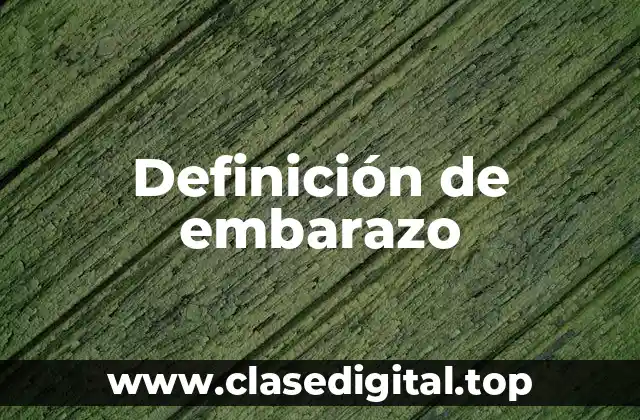 Ejemplos de embarazo