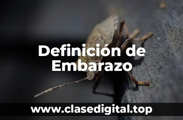 Definición de Embarazo