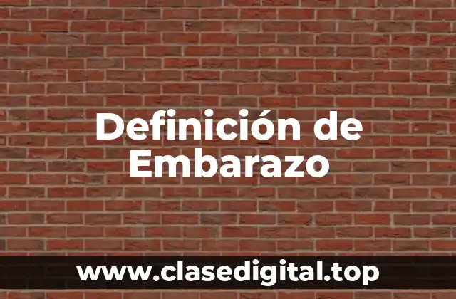 📗 Definición técnica de Embarazo